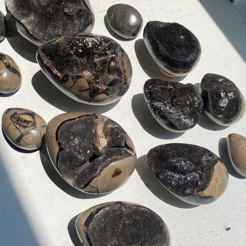 Septarian Egg