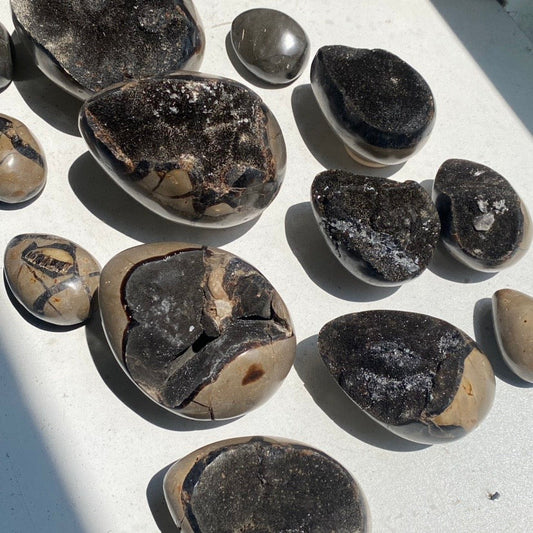Septarian Egg