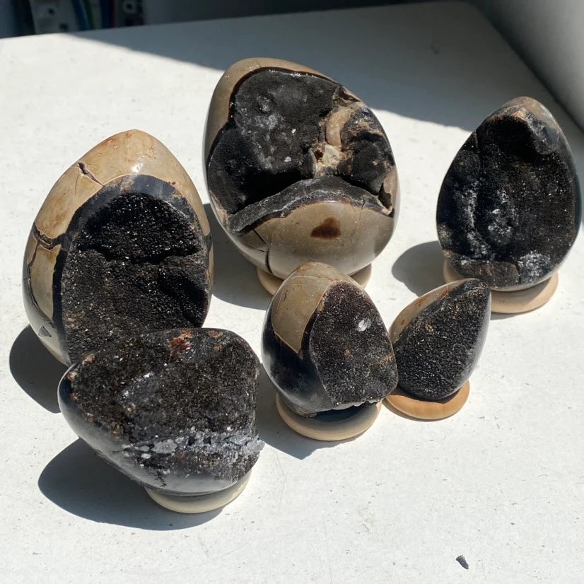 Septarian Egg