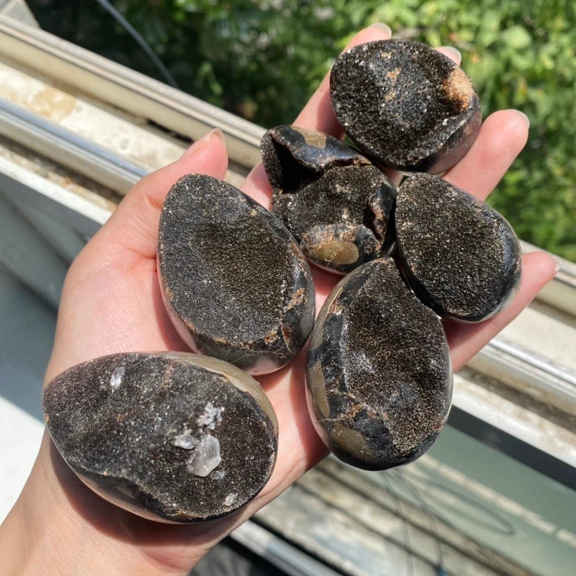 Septarian Egg